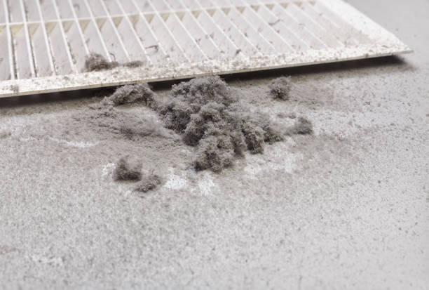 Best Affordable Air Duct Cleaning  in Murillo, TX